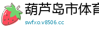 葫芦岛市体育网
